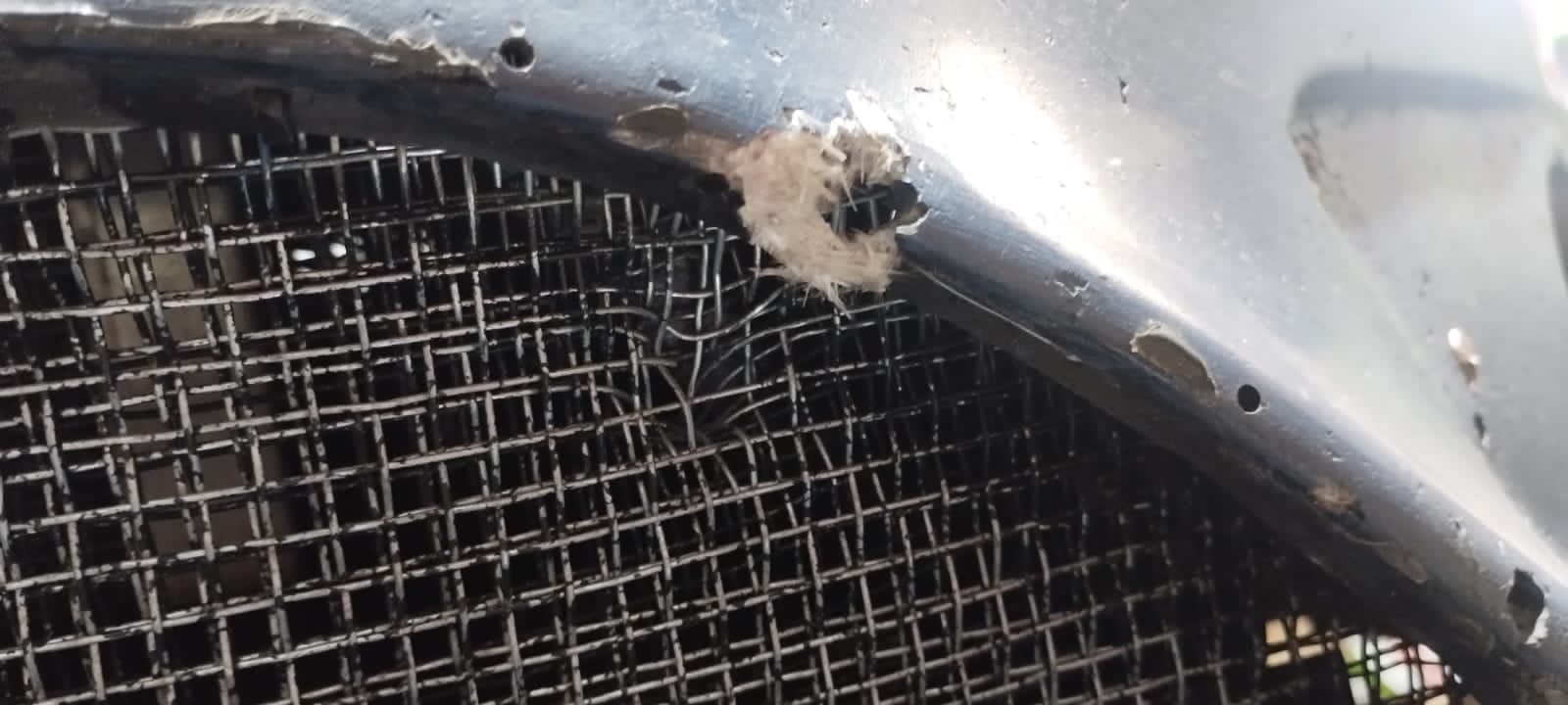 Imagenes de los impactos de bala en el auto de Pernía: WhatsApp Image 2023-11-25 at 12.19.23.jpeg